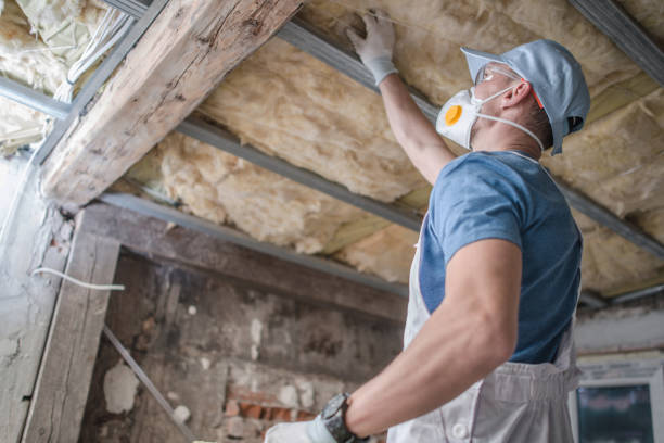 Best Spray Foam Insulation  in Atwood, IL